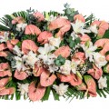 Cuscino Classico 2